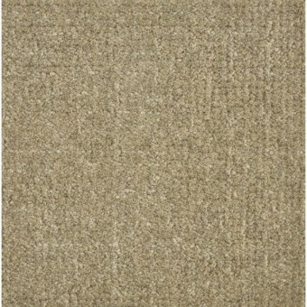 Homestead - Taupe
