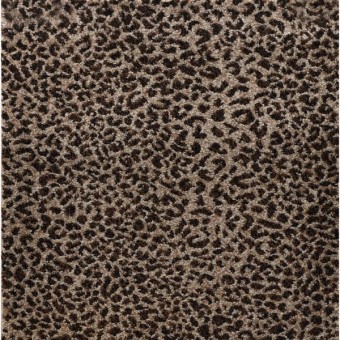 Ceremony - Leopard