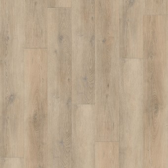 Gallantin Plus - Clearwater