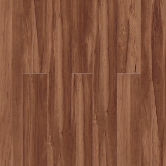 Gallantin - Sugar Maple