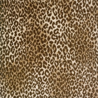 Lake Jaguar - Beige Brown