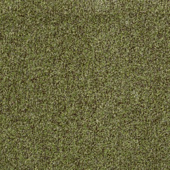 Outdoor Grass Carpet Deal - Mossy Bark