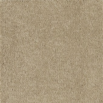 Hyde Park - Khaki