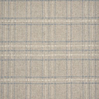 Pristine Plaid - Bluestone