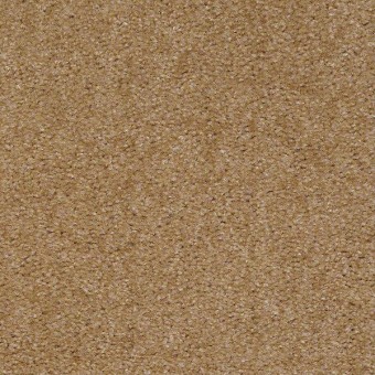 Zipp Plus - Acorn