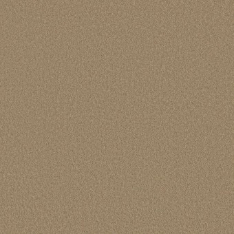 Sandy Hollow I 12 - Adobe