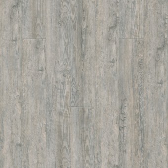 New Standard II - Aruba