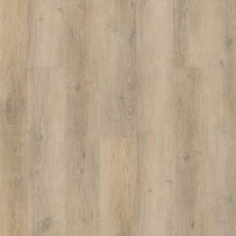 New Standard Plus - Clearwater