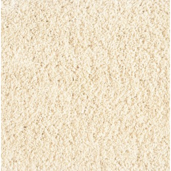 Shaggy Plush - Ivory