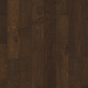 Biscayne Bay - Bayfront