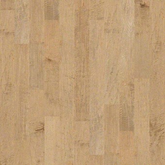 Yukon Maple 5 - Gold Dust