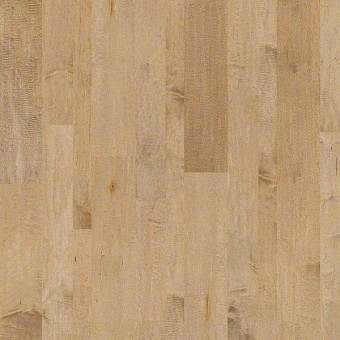 Yukon Maple 6.375 - Gold Dust