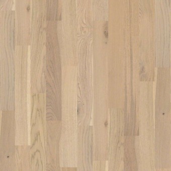 Empire Oak - Vanderbilt