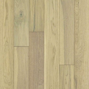 Empire Oak - Carnegie
