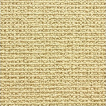 Sequoia - Beige From Stanton Carpet