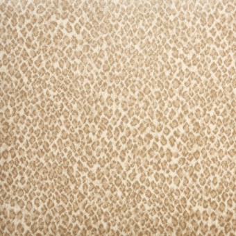 Serengeti - Desert