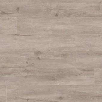 Katavia - Twilight Oak