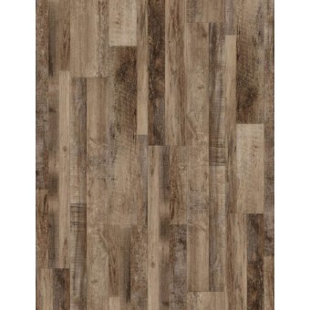 COREtec Plus Enhanced 7\" Plank - Marianas Oak