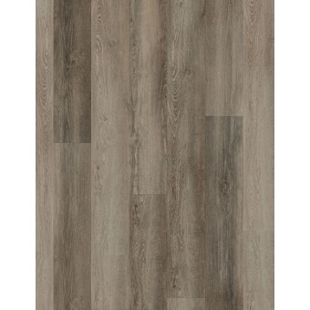 COREtec Plus Premium 9\" - Leisure Oak