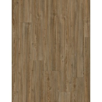 COREtec Plus Premium 9\" - Treasure Pine