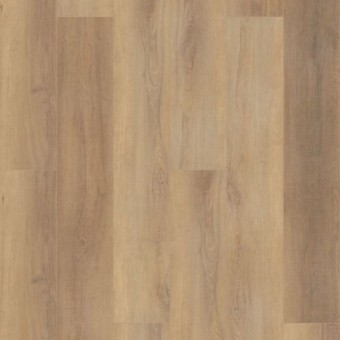 COREtec Pro Plus HD 9 - Canterbury Elm