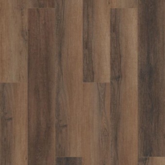 COREtec Pro Plus HD 9 - Cheshire Elm