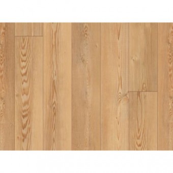 COREtec Pro Plus XL Enhanced - Berlin Pine
