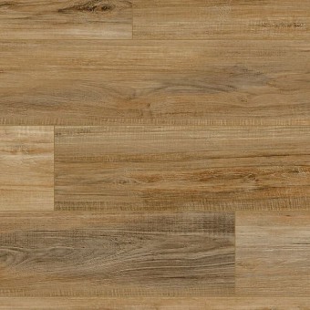 COREtec Pro Enhanced Plus - Edinburgh Oak