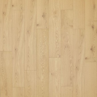 Gingham Oaks - Azalea Oak