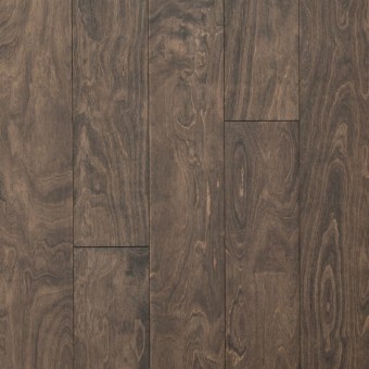 Sendera Birch - Gunpowder Birch