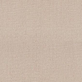 Wanderer - Cotton Tail