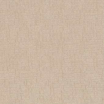 Wayfarer - Cotton Tail