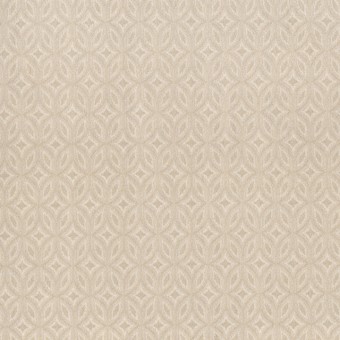 Enlightened - French Cream