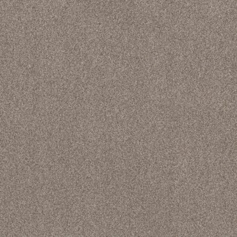 Bossa Nova - Pashmina