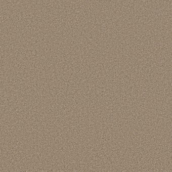 Somerset - Sugar Cookie