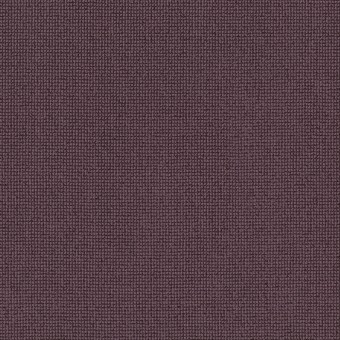 Alluring - Plumwood