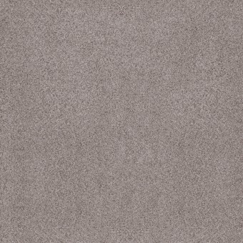 Sumptuous I - Rustic Gray