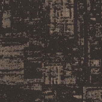 Discover - Fall Sale - Dark Roast