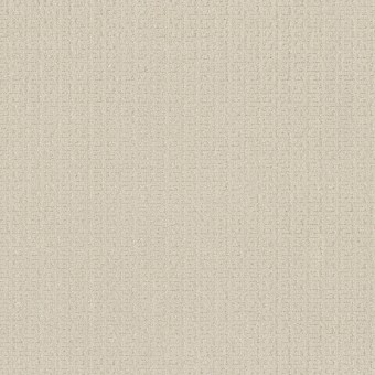 Vignette - Crisp Linen