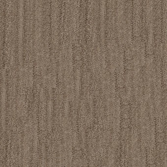 In Tempo - Saddle