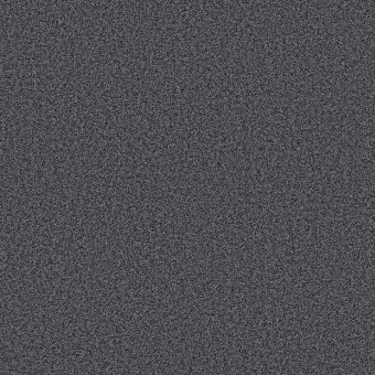 Bella Nova - Tailored