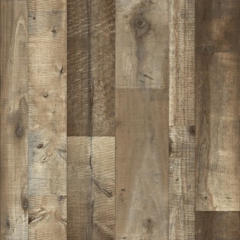Odyssey Oak Coffee - 664D