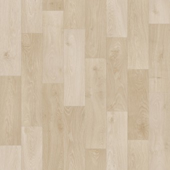 Odyssey Oak Oat - 629M