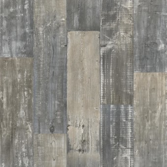 Splendor Ivory - 109L