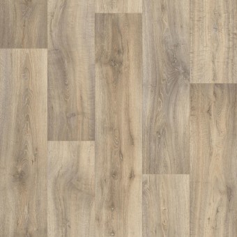 Stardust Charcoal - 971M