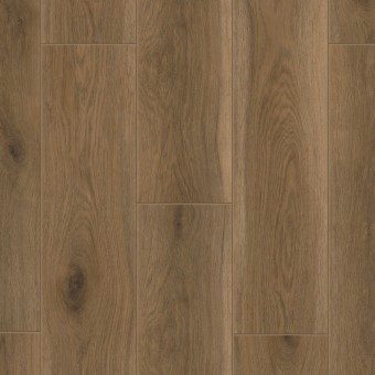 Artisan - Forest Glen