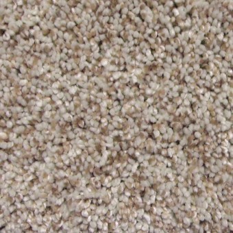 Softest Touch I - Stucco