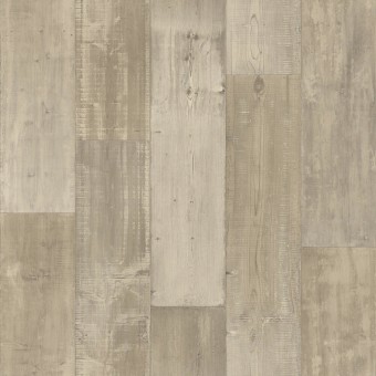 Eclipse Pearl - 170L