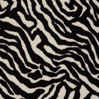 Zebra - Migrant Beauty