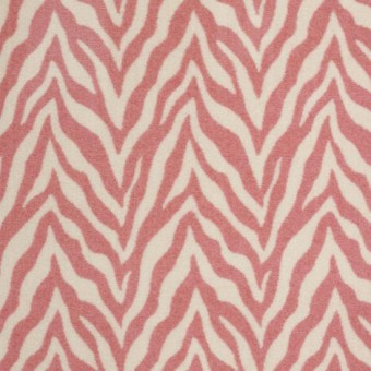 Zesty Zebra - Free Spirit